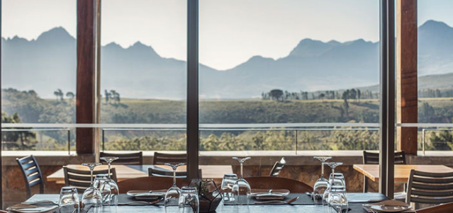 Inside Guide : The 30 Best Wine-Tasting Farms in the Cape