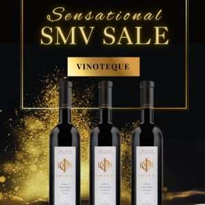 Idiom Black Friday SMV Vertical Case