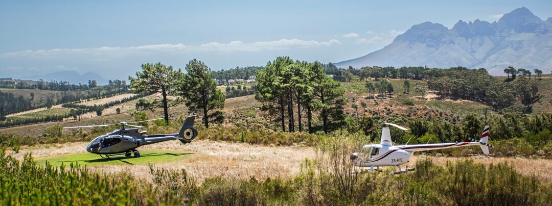 Peninsula Flight & lunch at Idiom wine farm