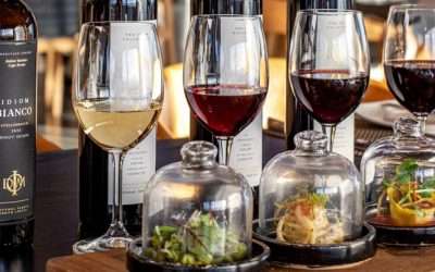 A Taste of Italy in Cape Town: Idiom Restaurant’s Pasta Fusion Experience Goes Viral