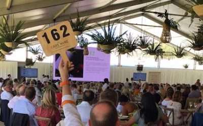 Cape Wine Auction 2017 raises record amount