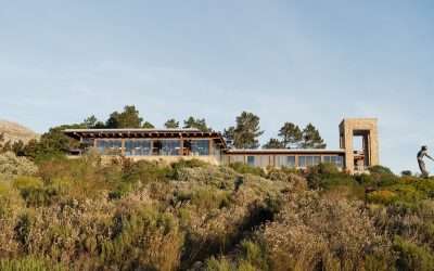 Idiom Wines Wins “Best Wine Tourism Experience 2025”