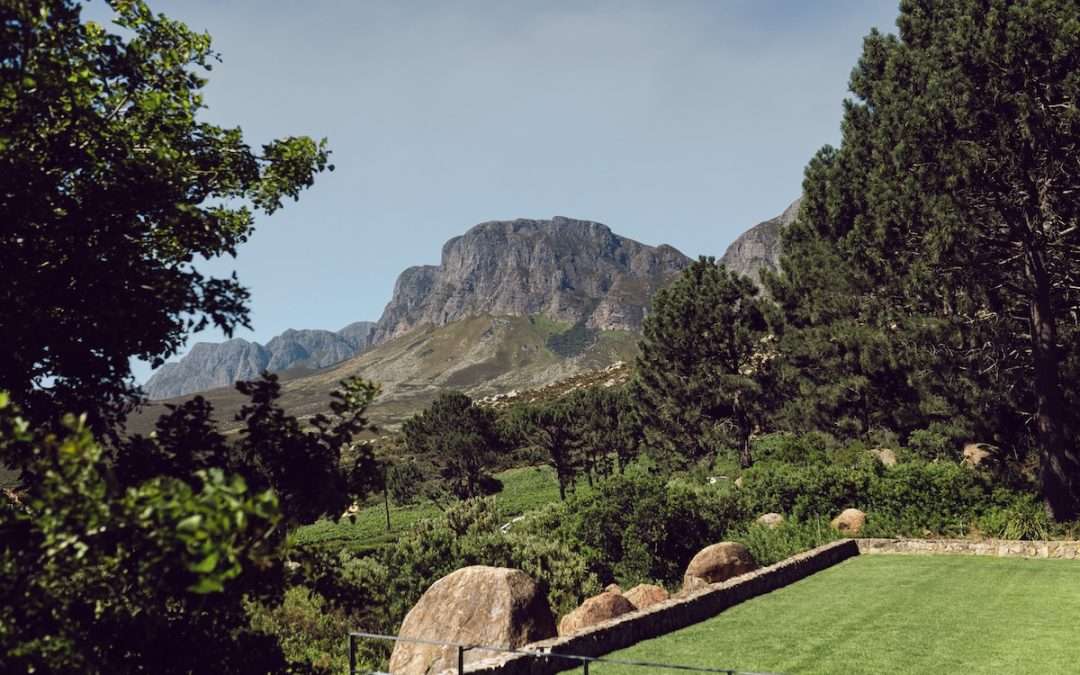 Epic Views, Epic Riding: Idiom Stands Out as a Highlight on the Absa Cape Epic Route
