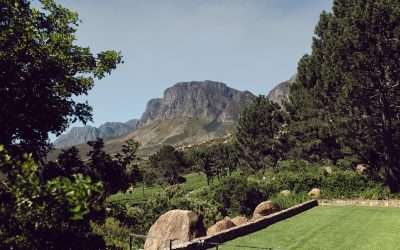 Epic Views, Epic Riding: Idiom Stands Out as a Highlight on the Absa Cape Epic Route