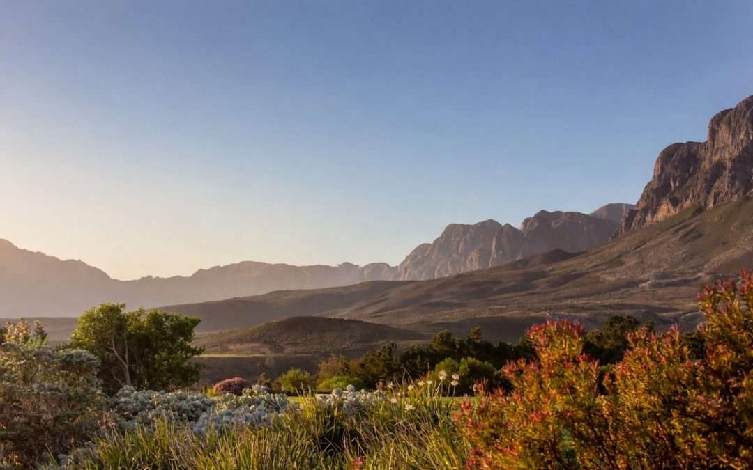 Conservation at Idiom: A Sanctuary for the Cape’s Wildlife in the Winelands