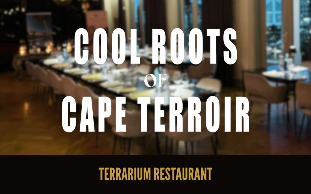 Cool Roots of Cape Terroir: A Night to Remember
